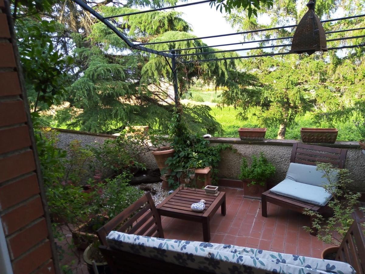 B&B La Gallinella Rossa Baschi Zewnętrze zdjęcie