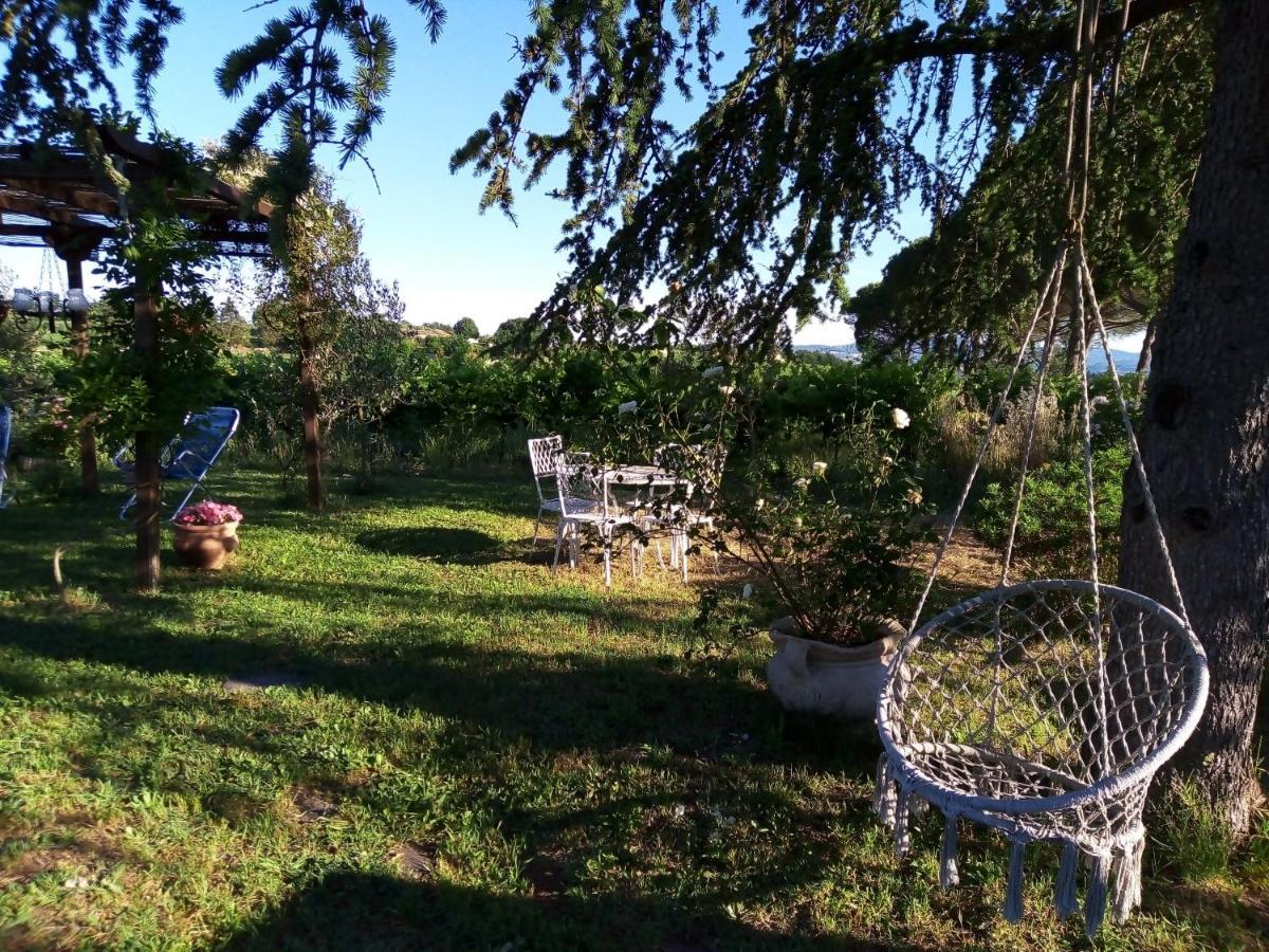B&B La Gallinella Rossa Baschi Zewnętrze zdjęcie