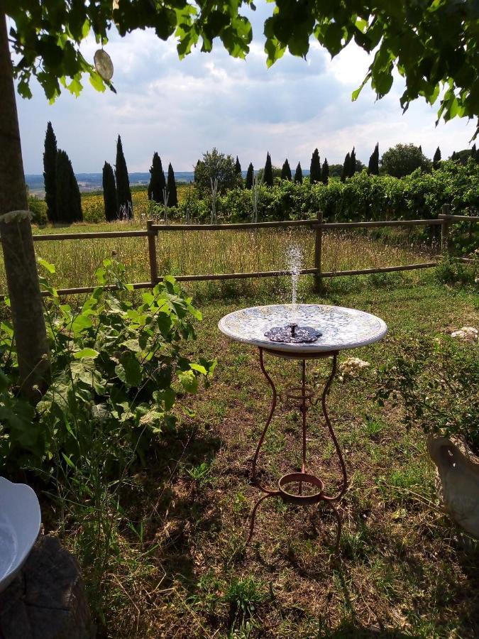 B&B La Gallinella Rossa Baschi Zewnętrze zdjęcie