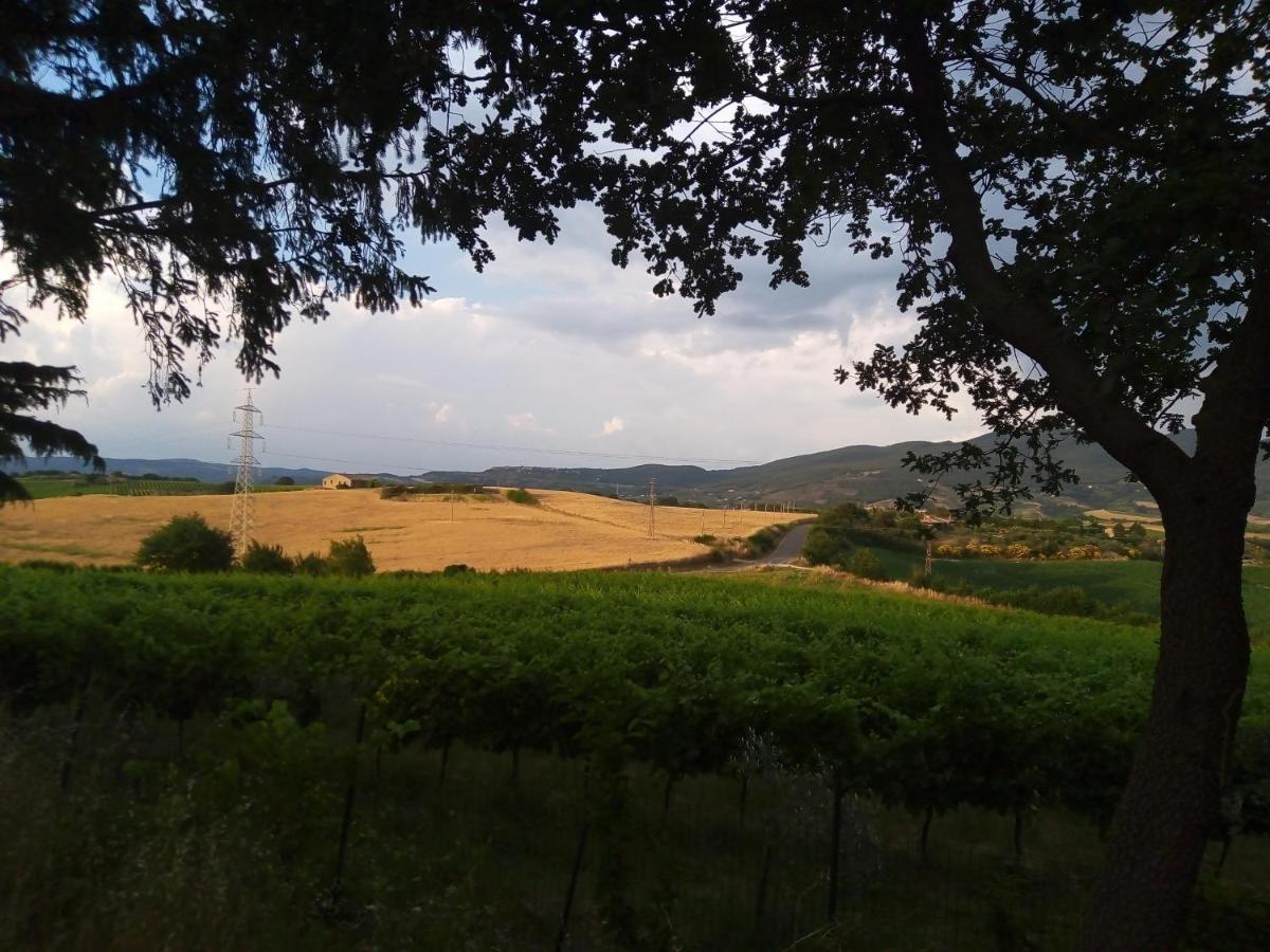 B&B La Gallinella Rossa Baschi Zewnętrze zdjęcie