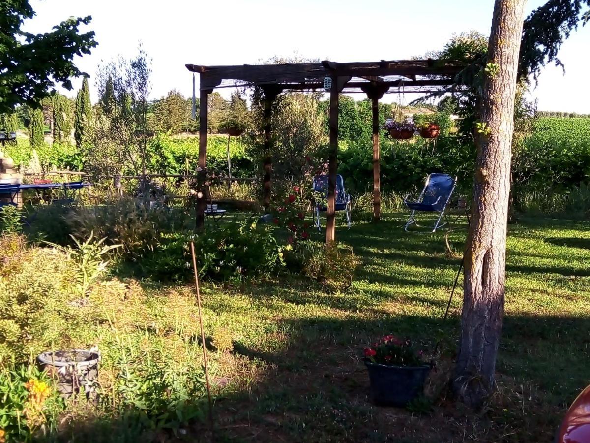 B&B La Gallinella Rossa Baschi Zewnętrze zdjęcie