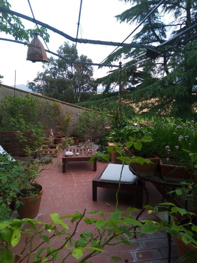B&B La Gallinella Rossa Baschi Zewnętrze zdjęcie