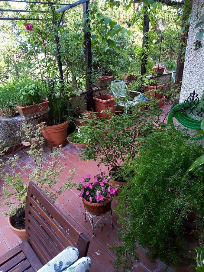 B&B La Gallinella Rossa Baschi Zewnętrze zdjęcie