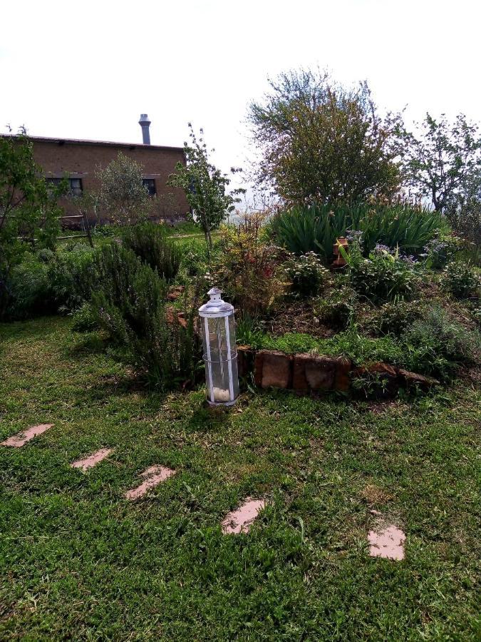 B&B La Gallinella Rossa Baschi Zewnętrze zdjęcie