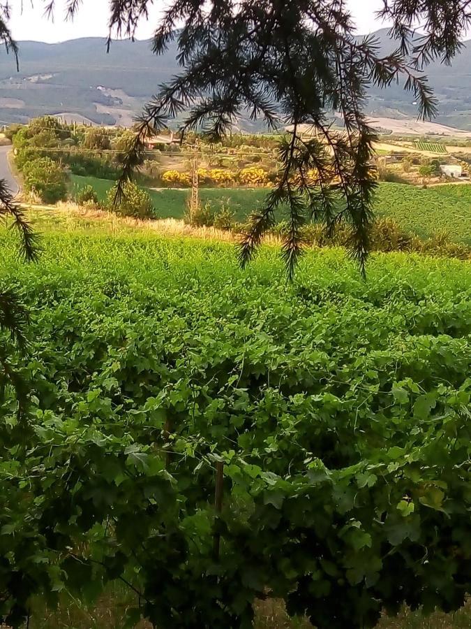 B&B La Gallinella Rossa Baschi Zewnętrze zdjęcie